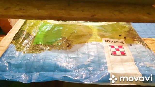 Брудер для бройлерных цыплят своими руками. Простая клетка для бройлеров в первые дни жизни.