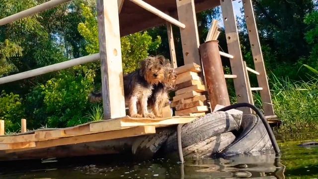 Красивая Гадка (кладка) своими руками, обзор и советы! смотреть онлайн