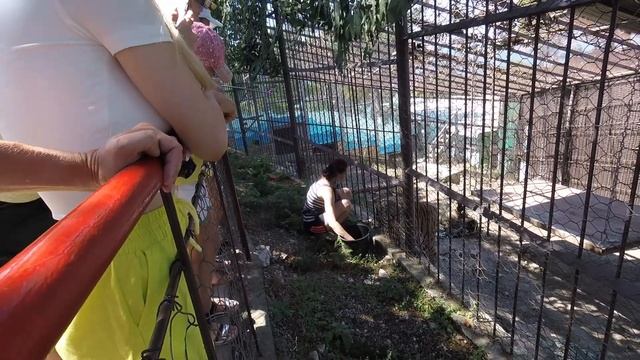 Отдых в Анапе. Лучшие пляжи для детей.