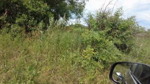 ЛАЧИНОВКА в Пензенской области