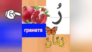 Арабский для начинающих Как правильно произносить буквы Ра и Зай с фатха, дамма и касра???