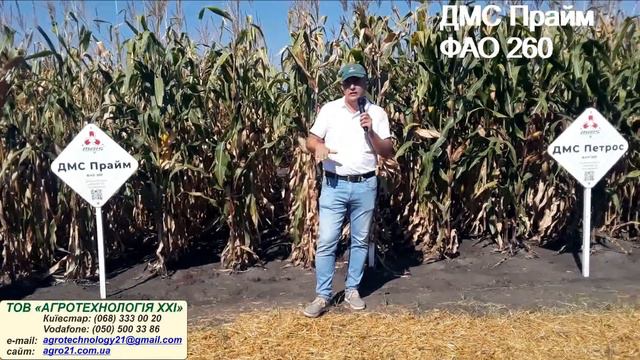 НВФГ Маїс Семінар м Синельниково, 2021 р Кукурудза ДМС Прайм ФАО 260 ТОВ Агротехнологія ХХІ, м Х смотреть онлайн