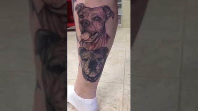 Pitbull tattoos