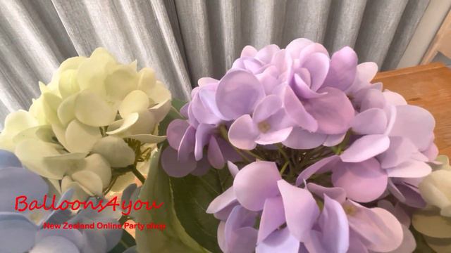 French hydrangea смотреть онлайн