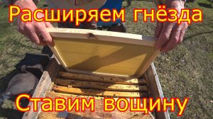 Расширение пчелинных гнёзд. Ставим вощину