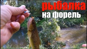 Ловля ФОРЕЛИ на микроречке | Хорошие поклёвки на блесну!