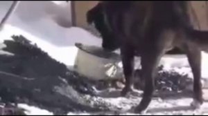 Конкурент.mp4