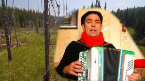 Изумительное исполнение песни ☀️ Чубчик кучерявый╰❥Лучшие песни шансона под баян! Russian folk song