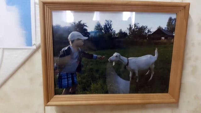 На лугу пасутся ко... смотреть онлайн