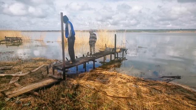 118 Переезд из города в деревню / Прогулка к лиману / Красота ростовской природы / Место для отдыха