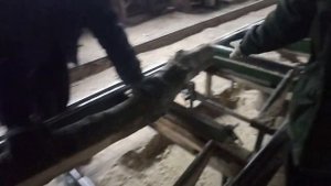 Распил грецкого ореха на доски.