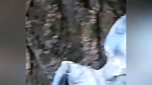 10 НЕОБЪЯСНИМЫХ СУЩЕСТВ В ЛЕСУ СНЯТЫХ НА КАМЕРУ
