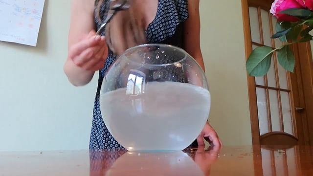 Как долго будут стоять Розы Остина в вазе? Эксперимент. 1 часть смотреть онлайн