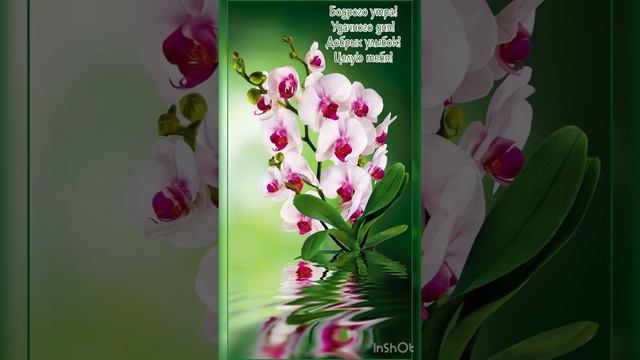 С Добрым Утром 🌼🌼🌼 Отличного дня 🍏🍎🍐 смотреть онлайн