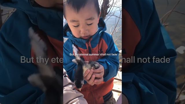 3 YEAR OLD RECITE SHAKESPEARE!!! смотреть онлайн