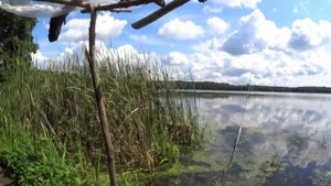 ЛОВЛЯ ЛЕЩА НА ФИДЕР ОСЕНЬЮ. РЫБАЛКА НА ЛЕЩА. ЛЕЩ НА САЛО. Перловка для рыбалки.