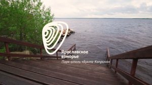 Большая кедровая баня