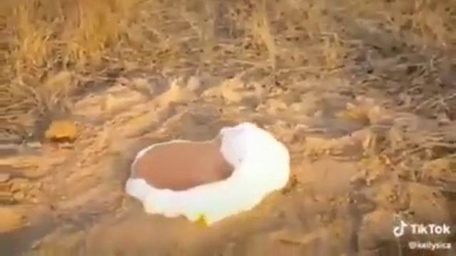 Кокакола и зубная паста