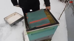 как проходит зимовка на канди, не трогайте пчел зимой, зимовка пчел на улице