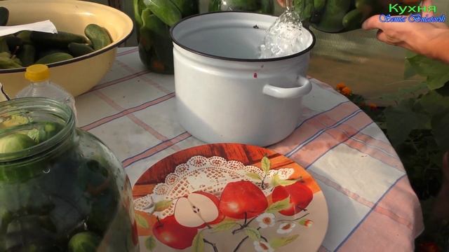 Маринованные хрустящие огурцы на зиму рецепт Семья Булатовых смотреть онлайн