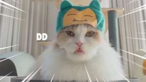 Pikachu LuLu! | Kittisaurus