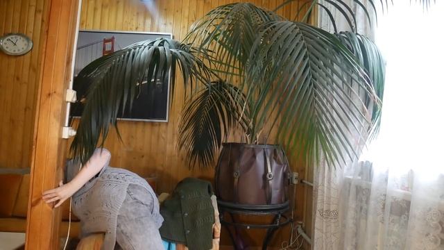 Связано за зиму. Подведение итогов. смотреть онлайн