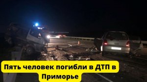 Пять человек погибли в ДТП в Приморье