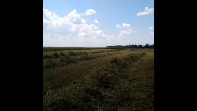Трактор в поле