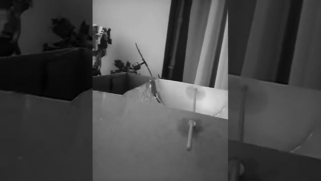 Как сделать солнечную печь смотреть онлайн