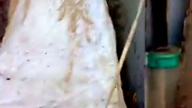 работа горелки в печке смотреть онлайн