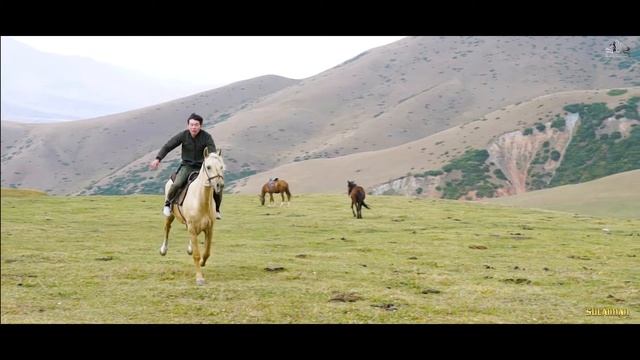 Жайлоо_Горы_лето_лошадь_Кыргызстан_Чуй Токмок смотреть онлайн