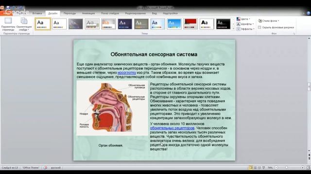 ЕГЭ по биологии 11 класс. Занятие 41 Анализаторы, их строение, разнообразие. Орган осязания
