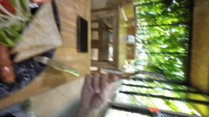 VLOG:НЕУЖЕЛИ ЭТО ТАИЛАНД?! ЛЕГАЛАЙЗ, ЦЕНЫ ВЗЛЕТЕЛИ ? ВЫСОКИЙ СЕЗОН НА ПХУКЕТЕ