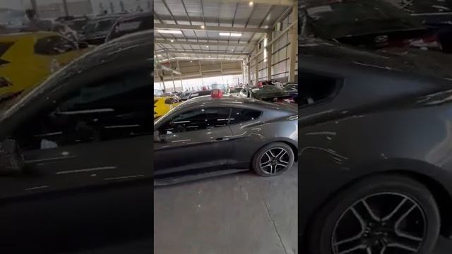 Ford Mustang 2019??.     Обьем 2.3 турбо Примерно 10-11$ алса болот