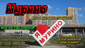 Мурино. Знаменитый город в Лен области. Все ли так плохо?