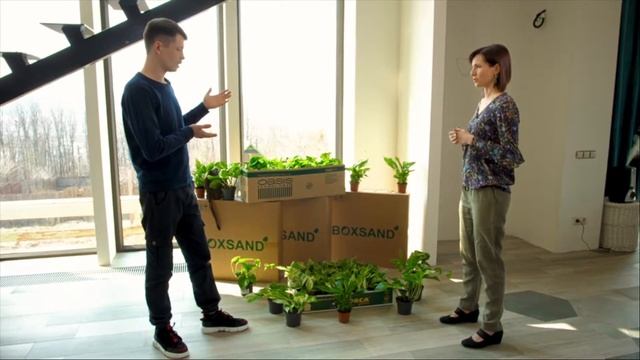 Экодом с фитостеной BOXSAND
