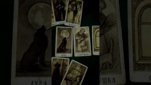 Настоящая причина смерти Дарии Воскобоевой