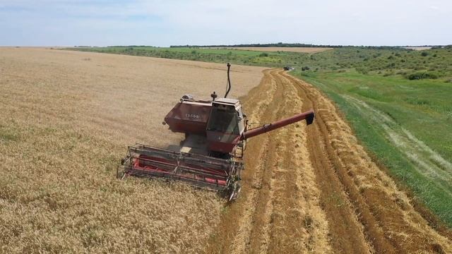 УБОРКА ПШЕНИЦЫ ЛЕГЕНДАРНЫМ КОМБАЙНОМ НИВА СК-5 УРОЖАЙНОСТЬ 45ц/га