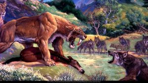 Кто были предки домашней кошки?