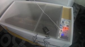 Инкубация перепелиных яиц в инкубаторе Блиц-72.