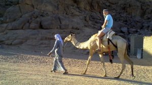 Катание на верблюде