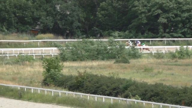 30.06.2019 - 10 Скачка на лошадях 2-х лет ахалтекинской породы - Мугажир смотреть онлайн