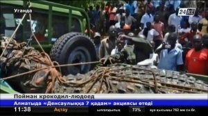 В Уганде крокодил-людоед передан в Национальный парк Мерчисон Фолс