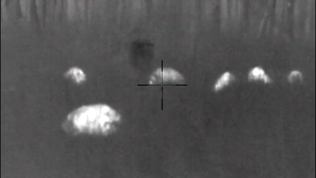 взял кабана 11.2023 смотреть онлайн