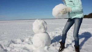 СБПЧ- На два