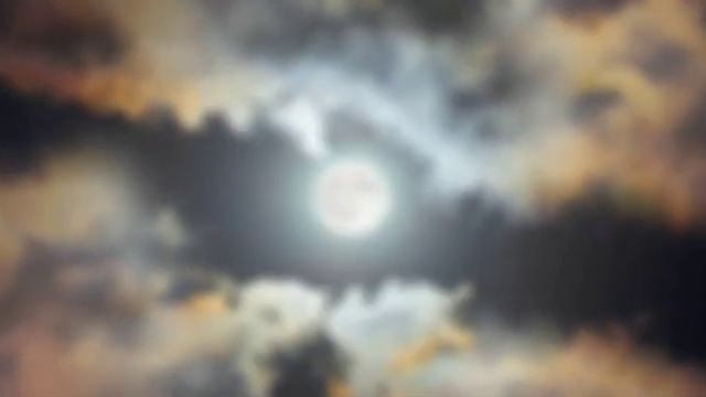 Топ 7 самых красивых кошек из КВ по моему мнению~ смотреть онлайн