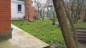 Купить дом легко. Дом в Краснодарском крае. ст. Черноерковская.