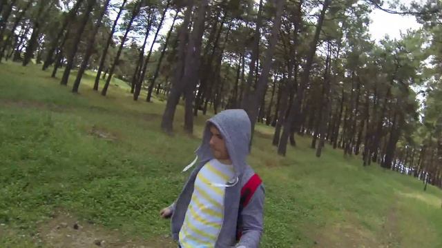 Прогулка в лесу! Остров Закинф. смотреть онлайн