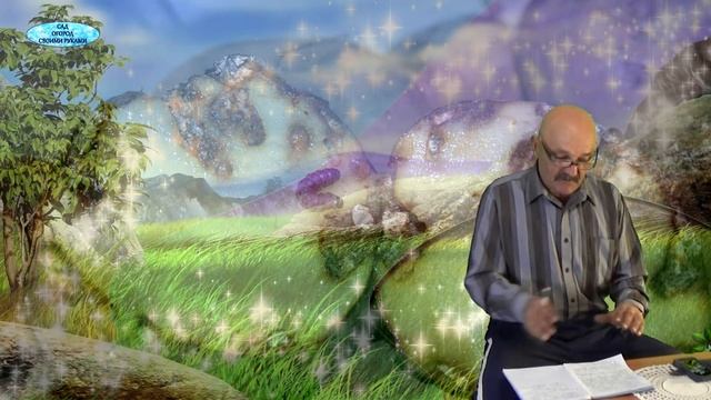 ПРОВОЛОЧНИК. КАК ПОБОРОТЬ ЭТОГО ВРЕДИТЕЛЯ.