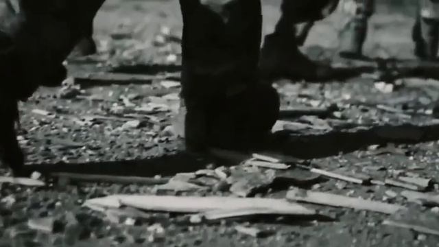 Русские,вперед!